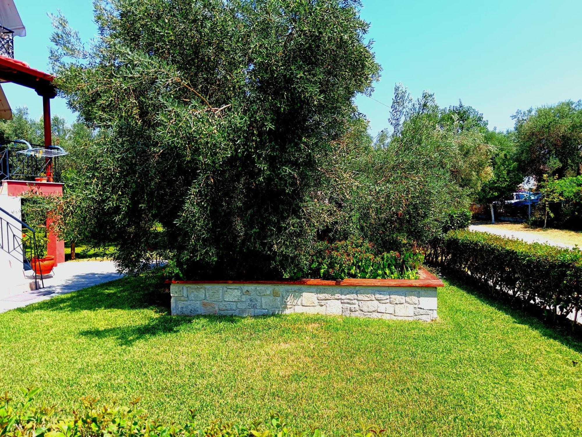Giorgos Apartments Skála Foúrkas Dış mekan fotoğraf